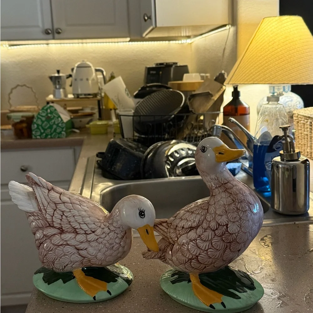 Cute 2 cottagecore Ceramic Duck Figurines